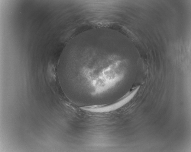 X0000071911010200607212036