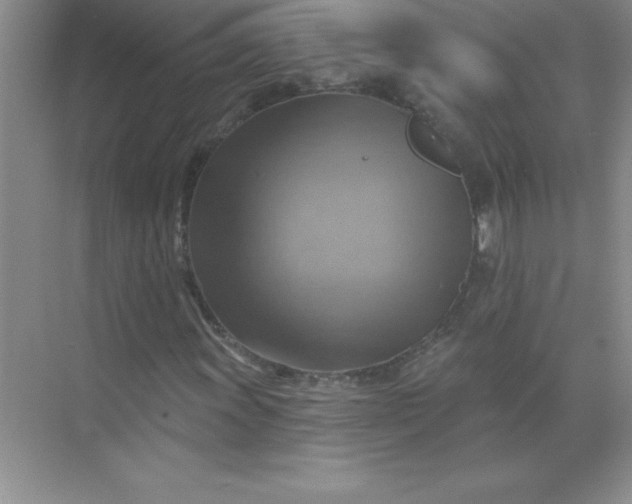 X0000071911011200607212036