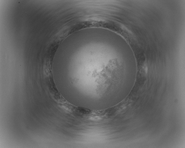 X0000071911014200607212037