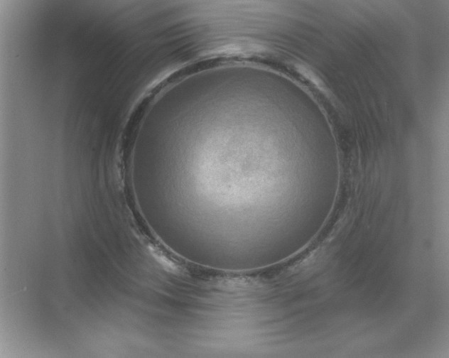 X0000071911018200607212037