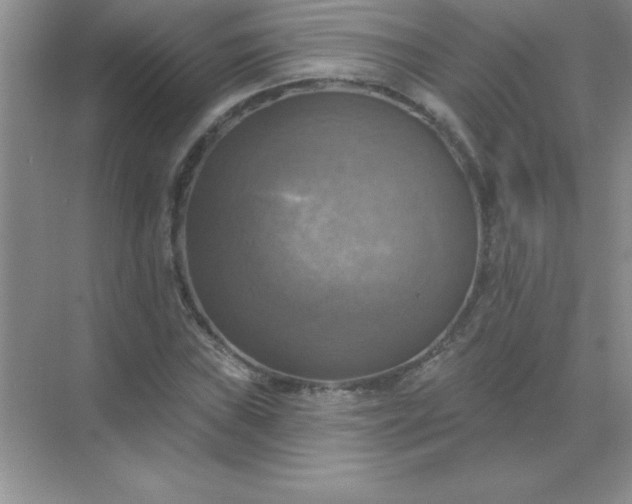 X0000071911019200607212037