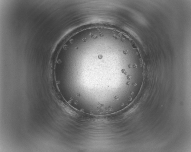 X0000071911021200607212037