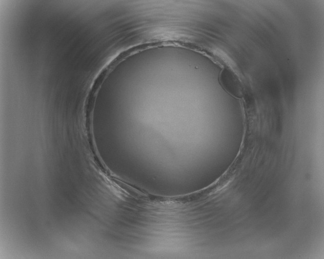 X0000071911023200607212037