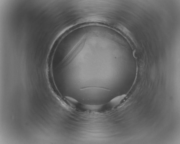 X0000071911024200607212037