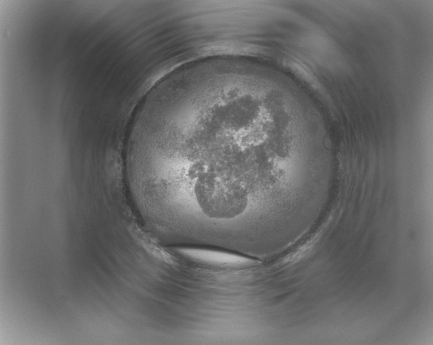 X0000071911025200607212037