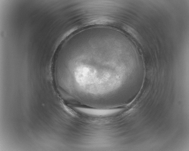 X0000071911026200607212037