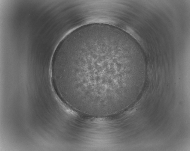 X0000071911028200607212037