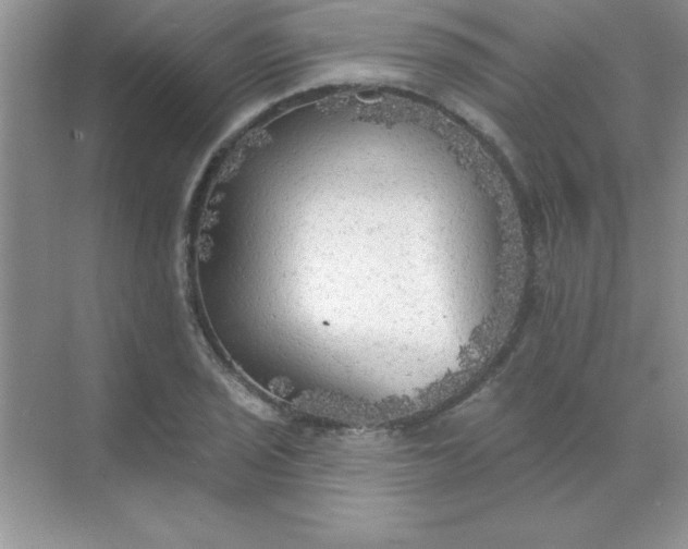 X0000071911029200607212037