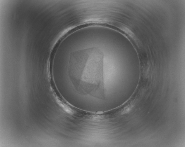 X0000071911030200607212037