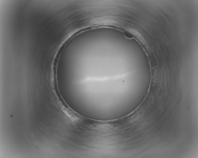 X0000071911031200607212037