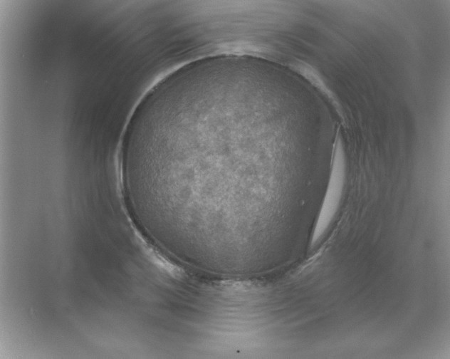 X0000071911032200607212037