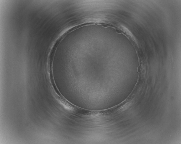 X0000071911035200607212037