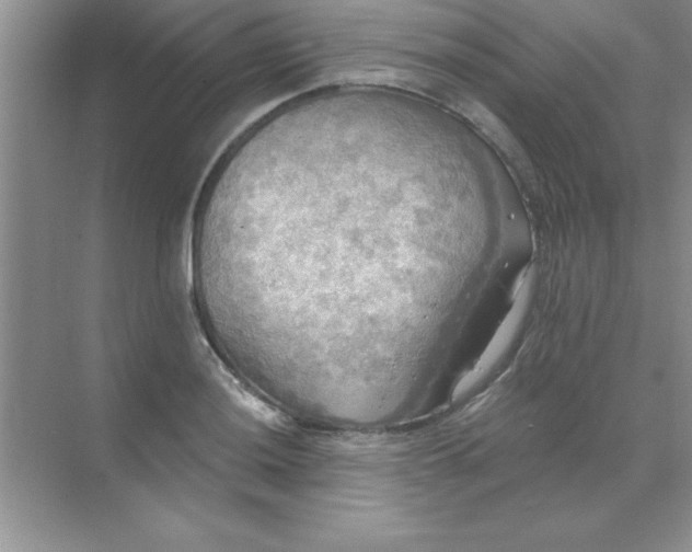 X0000071911036200607212037