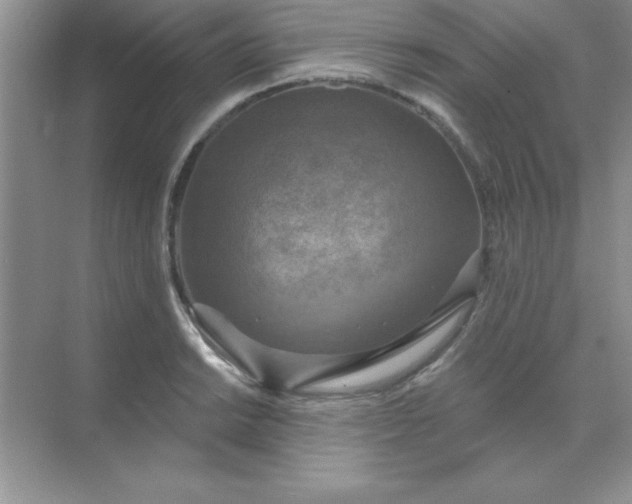 X0000071911038200607212037