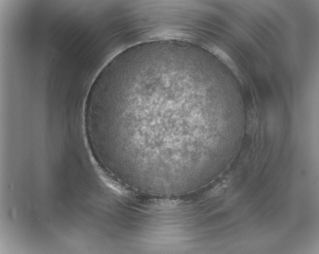 X0000071911039200607212037