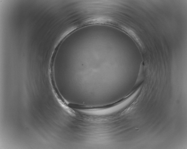 X0000071911042200607212037