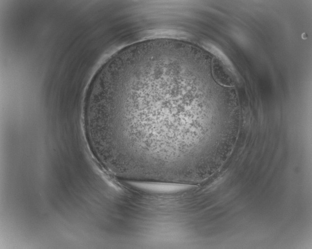 X0000071911043200607212037