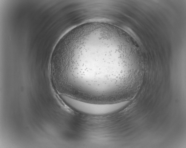 X0000071911044200607212037