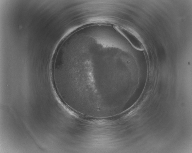 X0000071911045200607212037