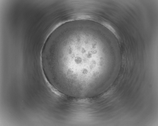 X0000071911047200607212037