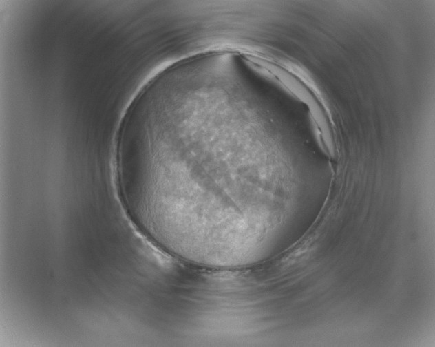 X0000071911048200607212037