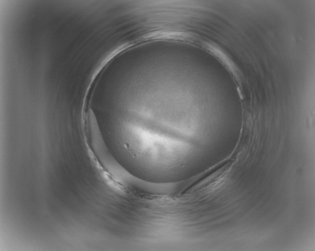 X0000071911050200607212037