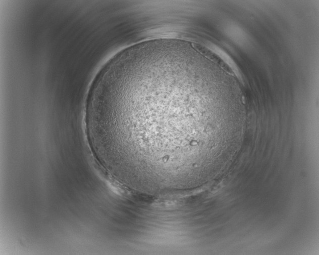 X0000071911051200607212037