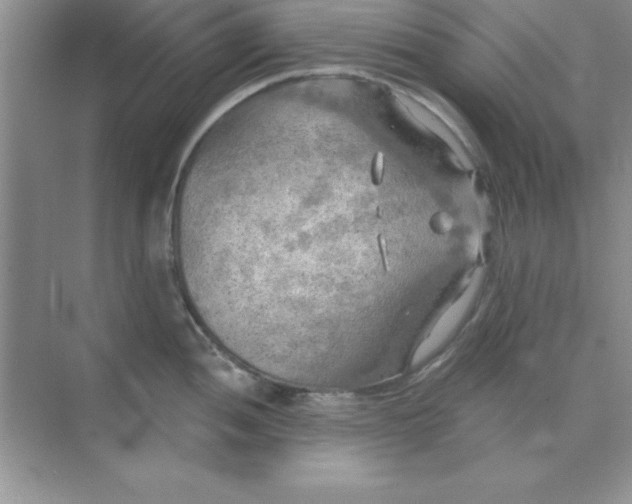 X0000071911052200607212037