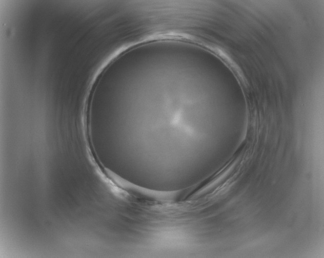 X0000071911054200607212037