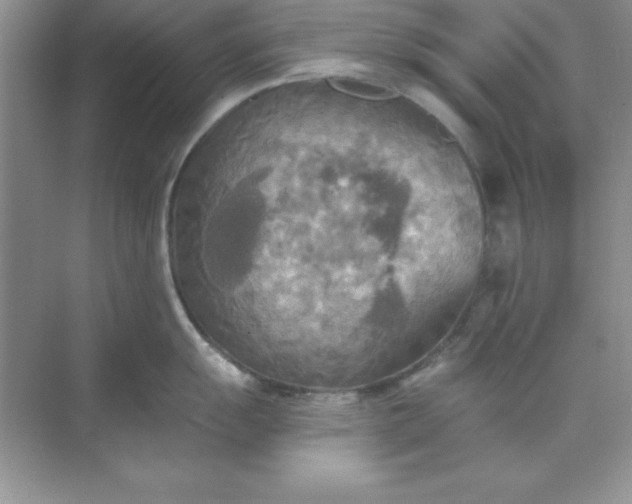 X0000071911055200607212037