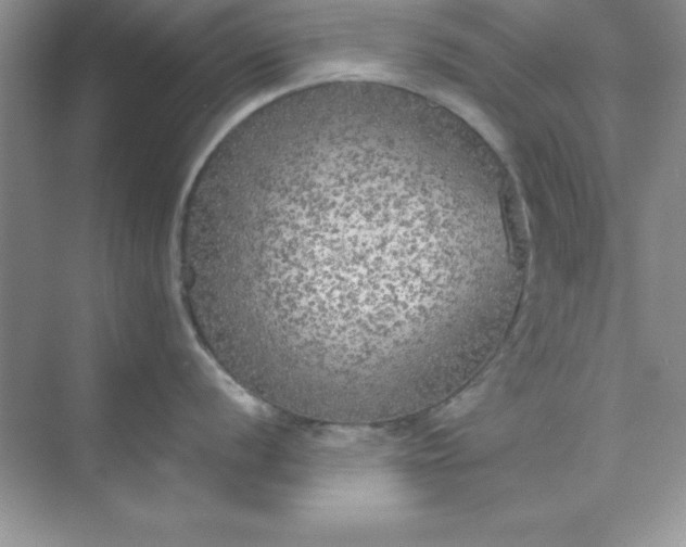 X0000071911056200607212037