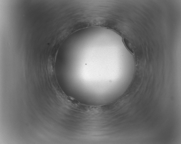 X0000071911058200607212036