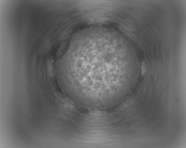 X0000071911059200607212036