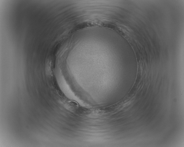 X0000071911060200607212036