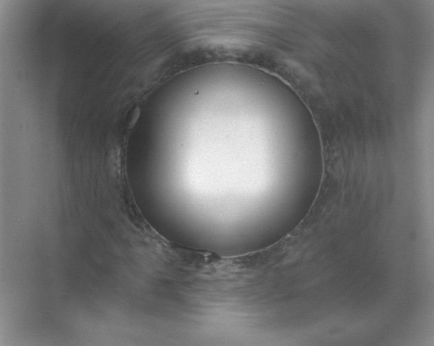 X0000071911061200607212036