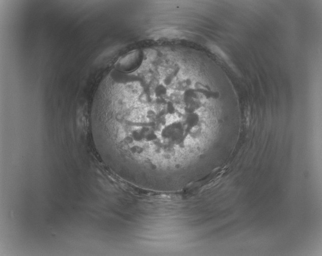 X0000071911063200607212036