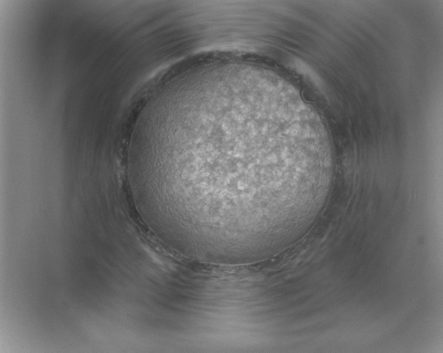 X0000071911064200607212036