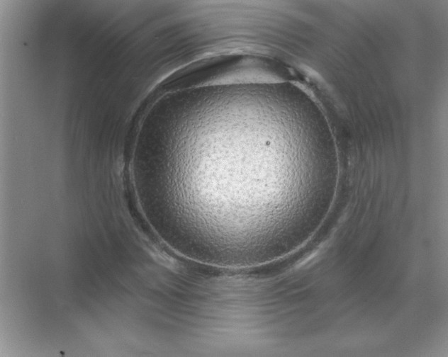 X0000071911065200607212036