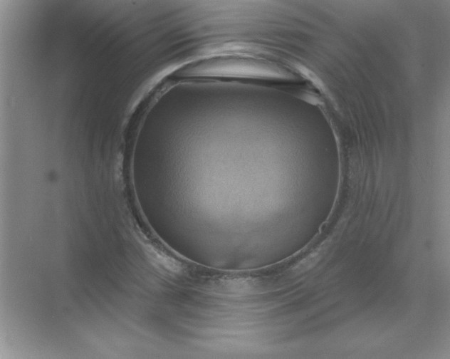 X0000071911066200607212036