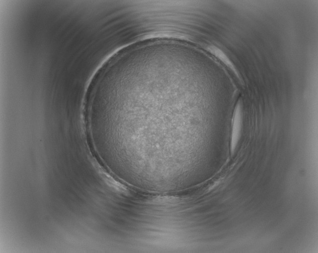 X0000071911068200607212036