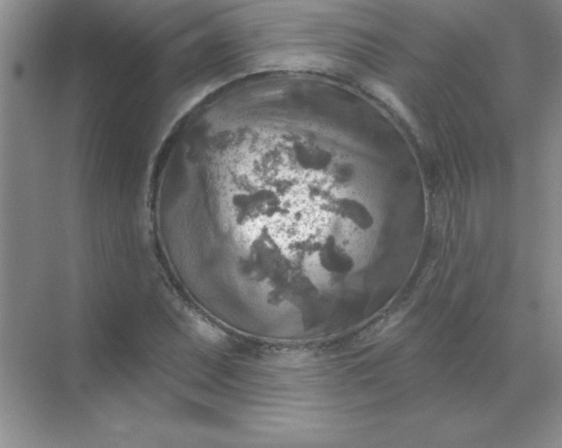 X0000071911071200607212036