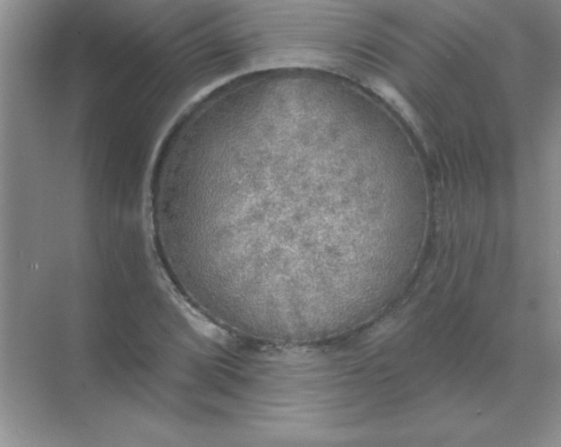 X0000071911072200607212036