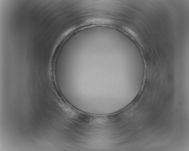 X0000071911074200607212036