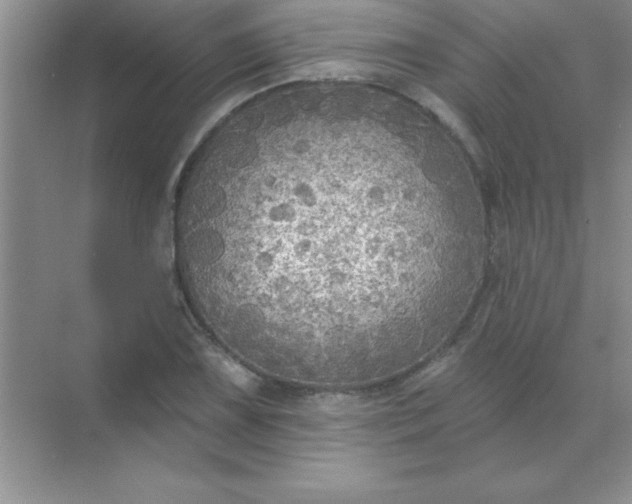 X0000071911075200607212036