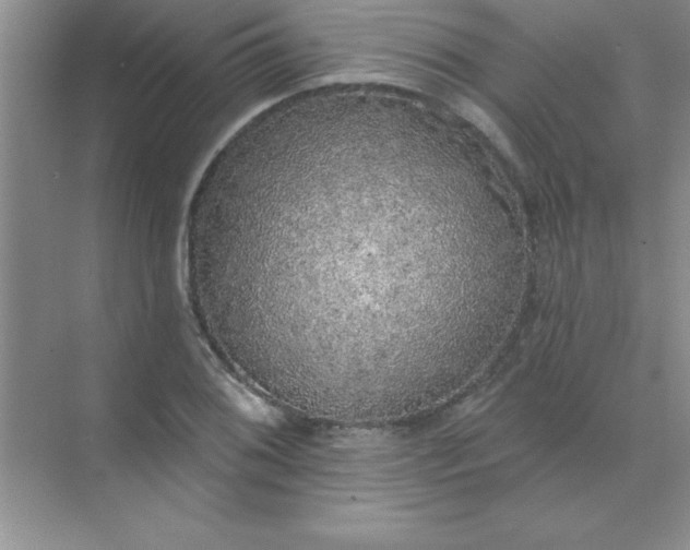 X0000071911076200607212036