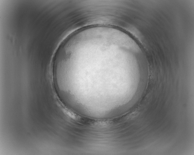 X0000071911078200607212036