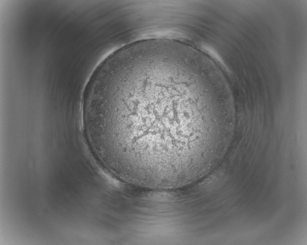 X0000071911079200607212036