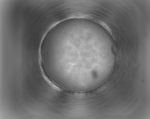 X0000071911080200607212036