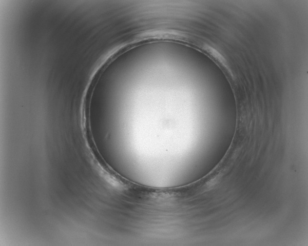 X0000071911082200607212036