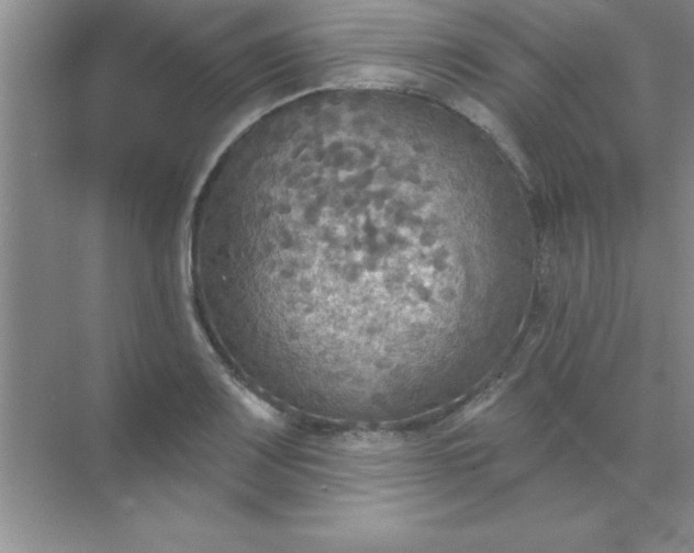 X0000071911083200607212036